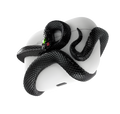 BLACK 3D Snake AirPods Case