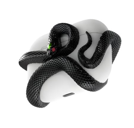 BLACK 3D Snake AirPods Case